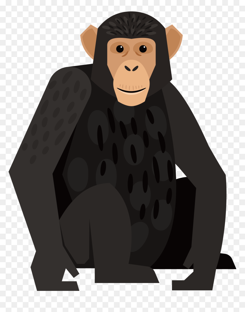 Graphic Royalty Free Chimpanzee Monkey Orangutan Black - Gorillas, HD Png Download - orangutan png