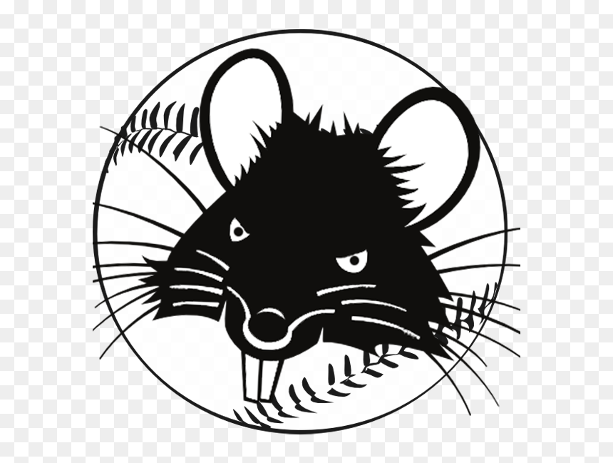 Transparent Rats Clipart - Baseball Clip Art, HD Png Download - baseball clip art png