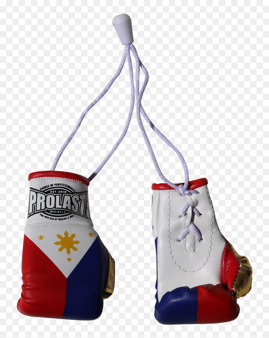 Prolast® Philippines Mini Boxing Gloves, HD Png Download - boxing ring ropes png