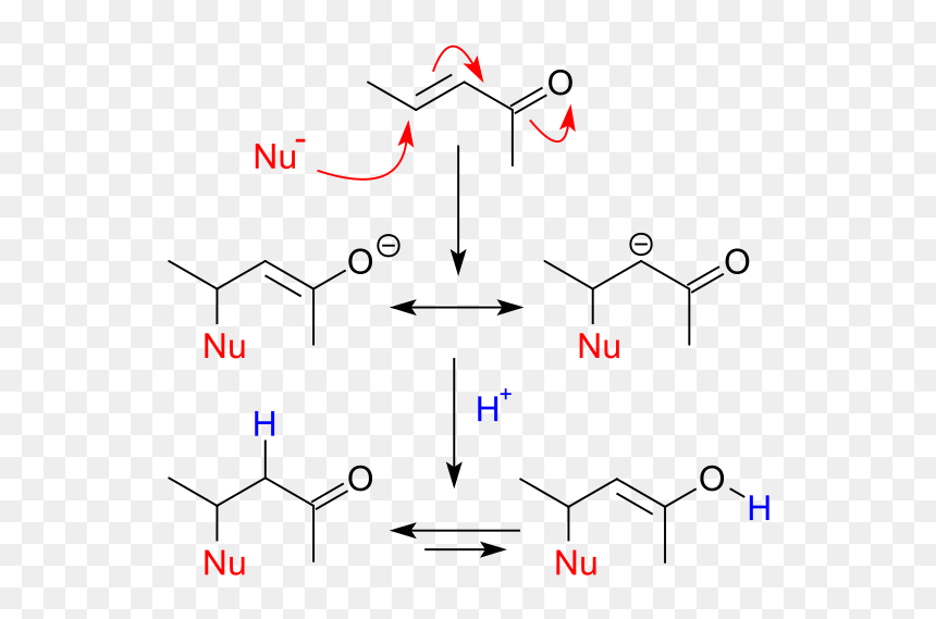 Conjugate Addition, HD Png Download - curly arrow png
