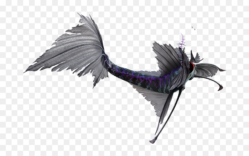 European Swallow, HD Png Download - cute mermaid png