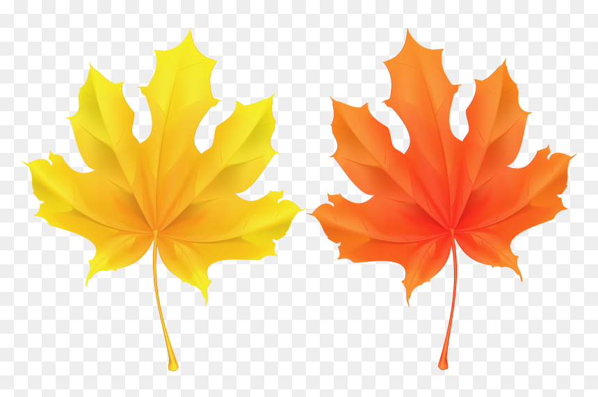 Deco Clipart Leaf - Clip Art, HD Png Download - autumn leaves clip art png