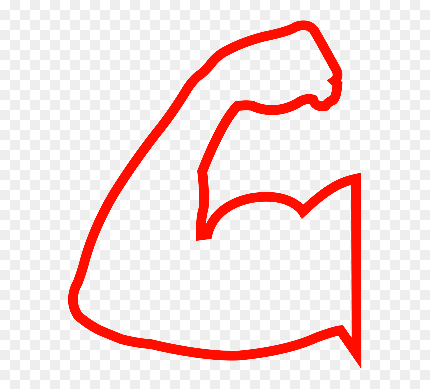 18/8 Stainless Steel, Hd Png Download, Transparent Png - muscle icon png