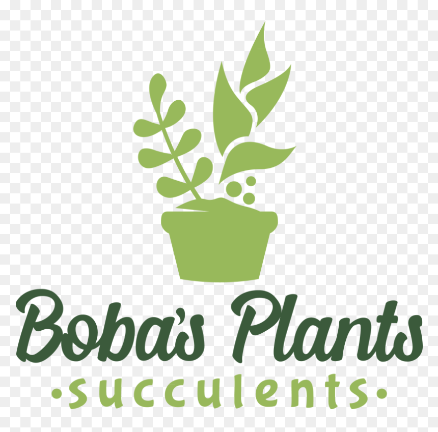 Bobas Plants Logo - Logo Plants, HD Png Download - planters png