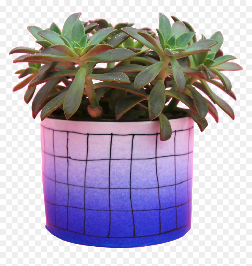 Flowerpot, HD Png Download - planters png