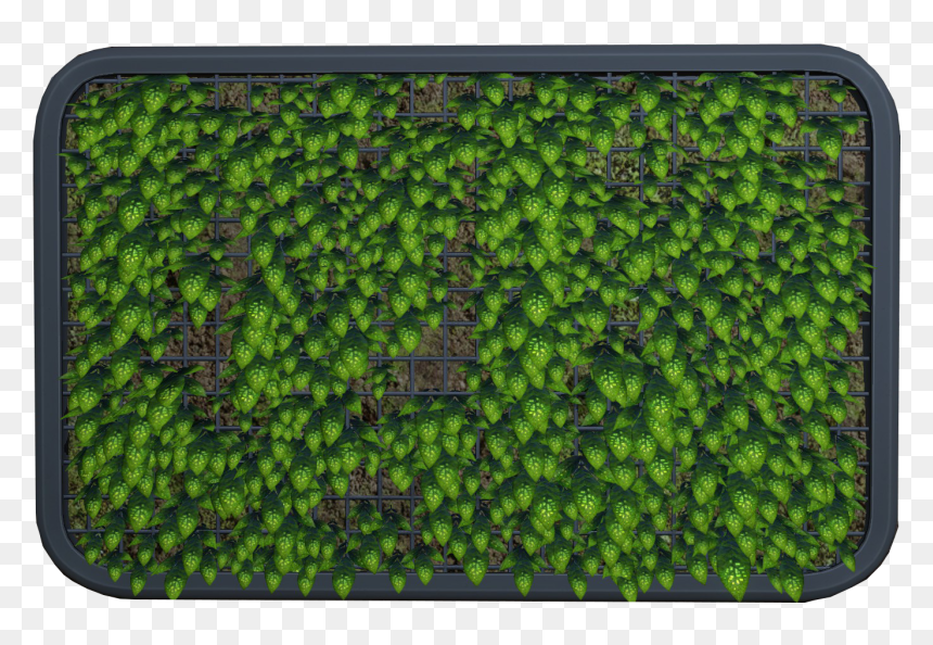 Subnautica Wiki - Green Algae, HD Png Download - planters png