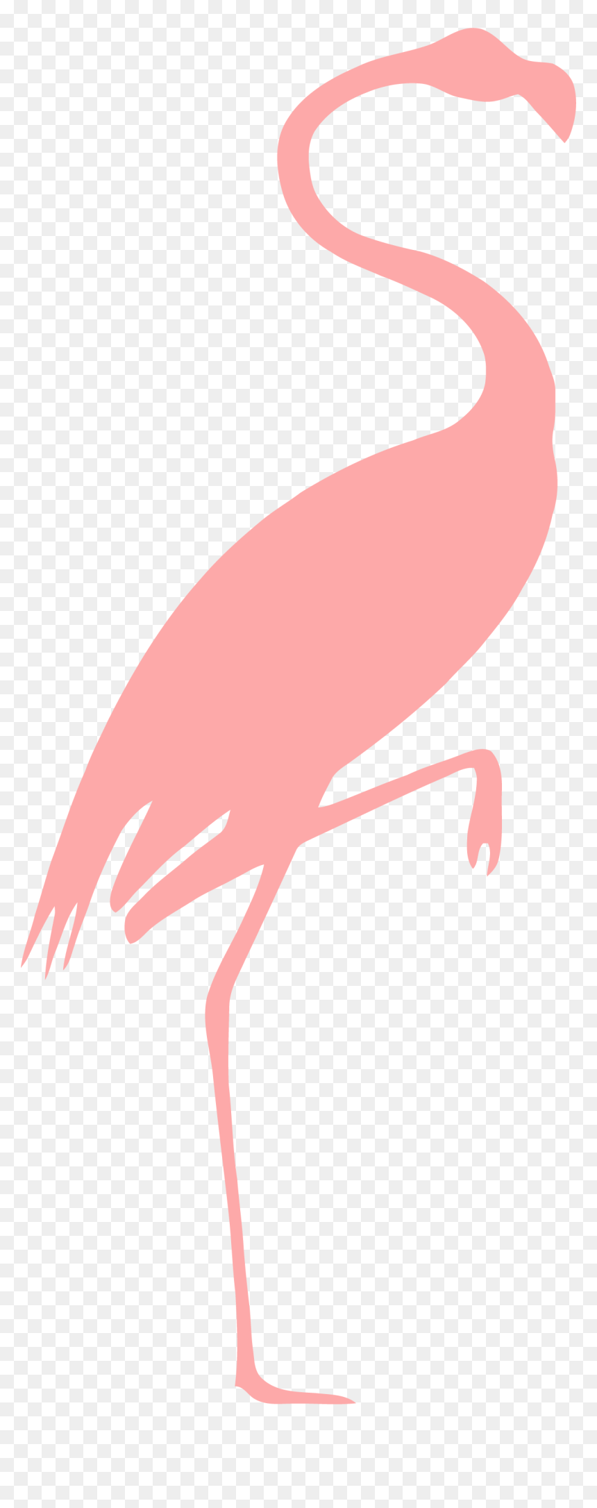 Clip Art Pink Flamingo, HD Png Download - pink flamingo png