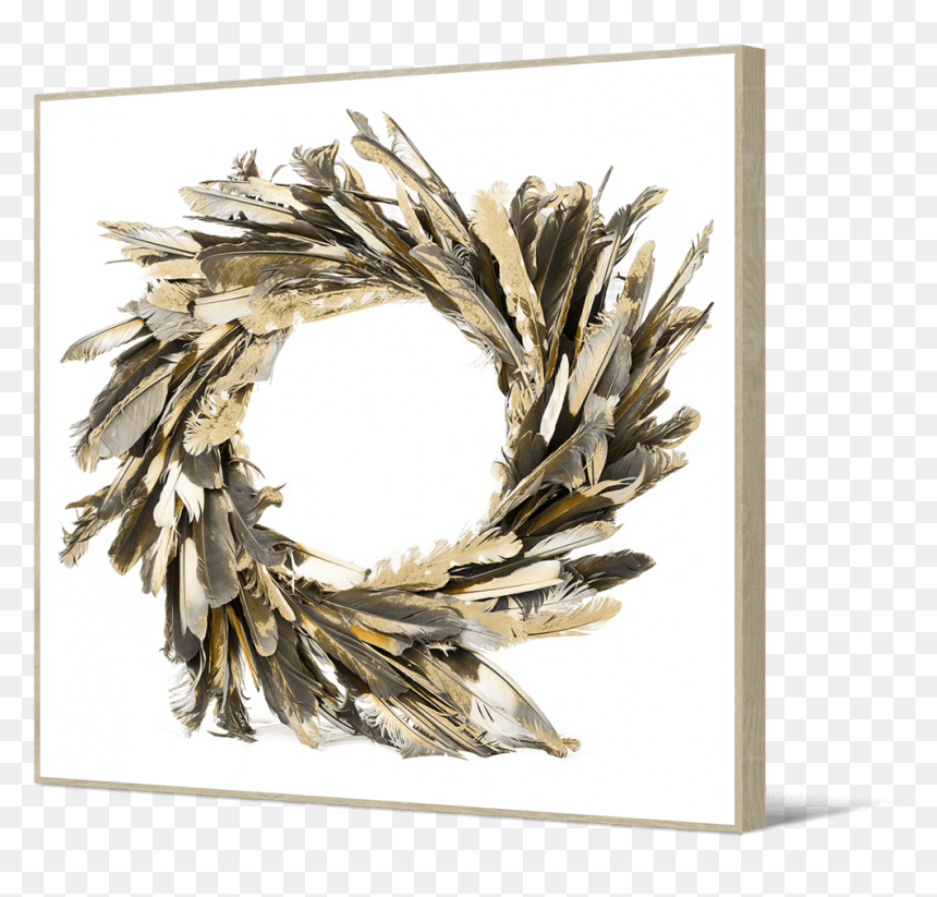 "chief Indian - Circle Of Feathers, HD Png Download - indian feathers png