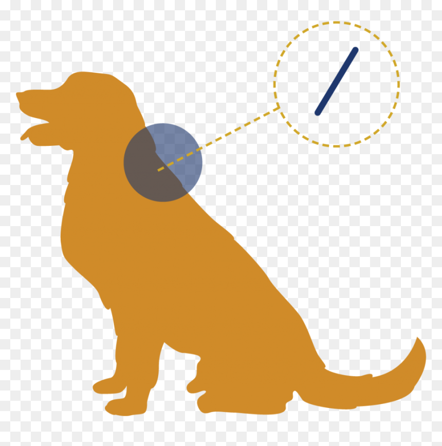 Learn More About Microchipping, HD Png Download - golden gate bridge silhouette png