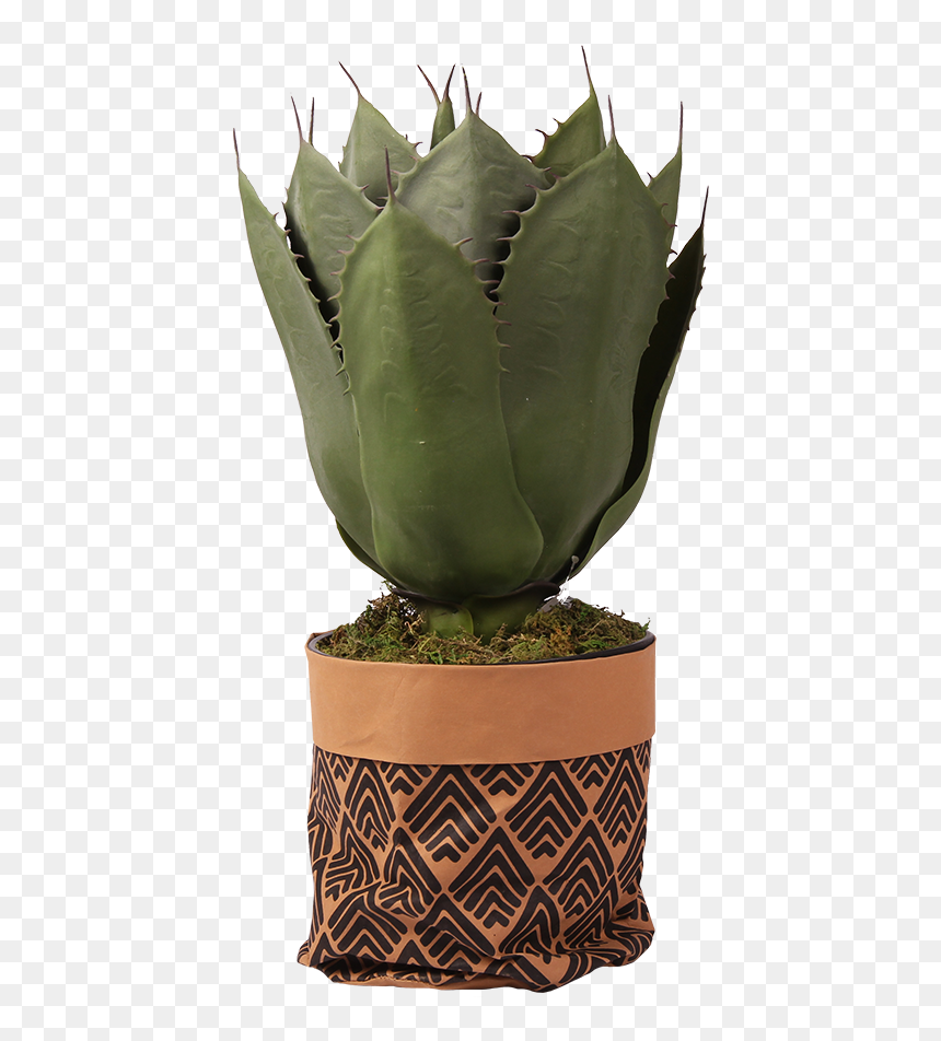 Pl90 - Flowerpot, HD Png Download - planters png