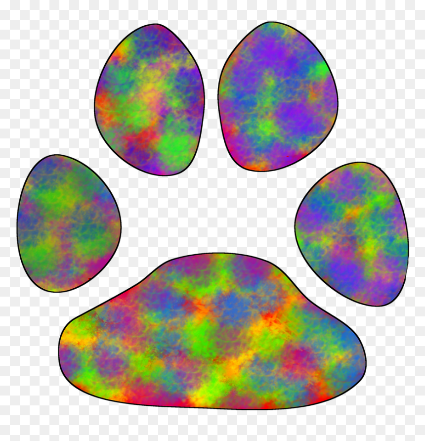 Coloring Book, HD Png Download - coloring png