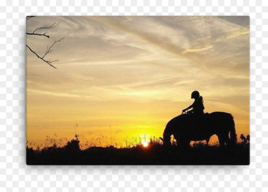 Horse Silhouette"
 Class="lazyload None"
 Data Sizes="auto"
 - Sunset, HD Png Download - golden gate bridge silhouette png