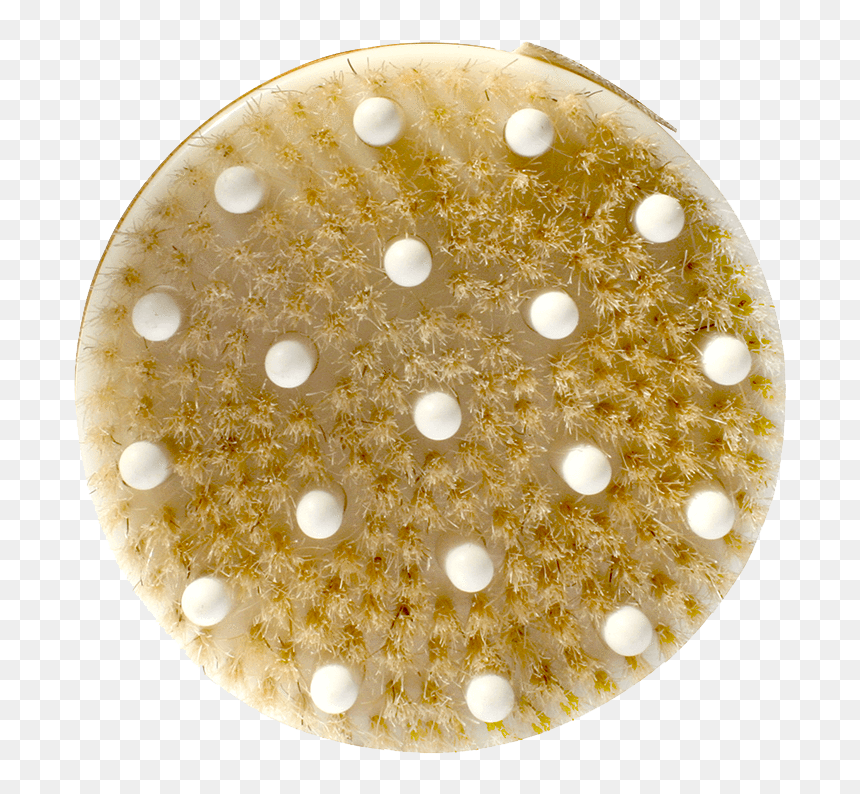 Daily Detox Massage Brush Daily Concepts Luxury Spa - Circle, HD Png Download - brush circle png