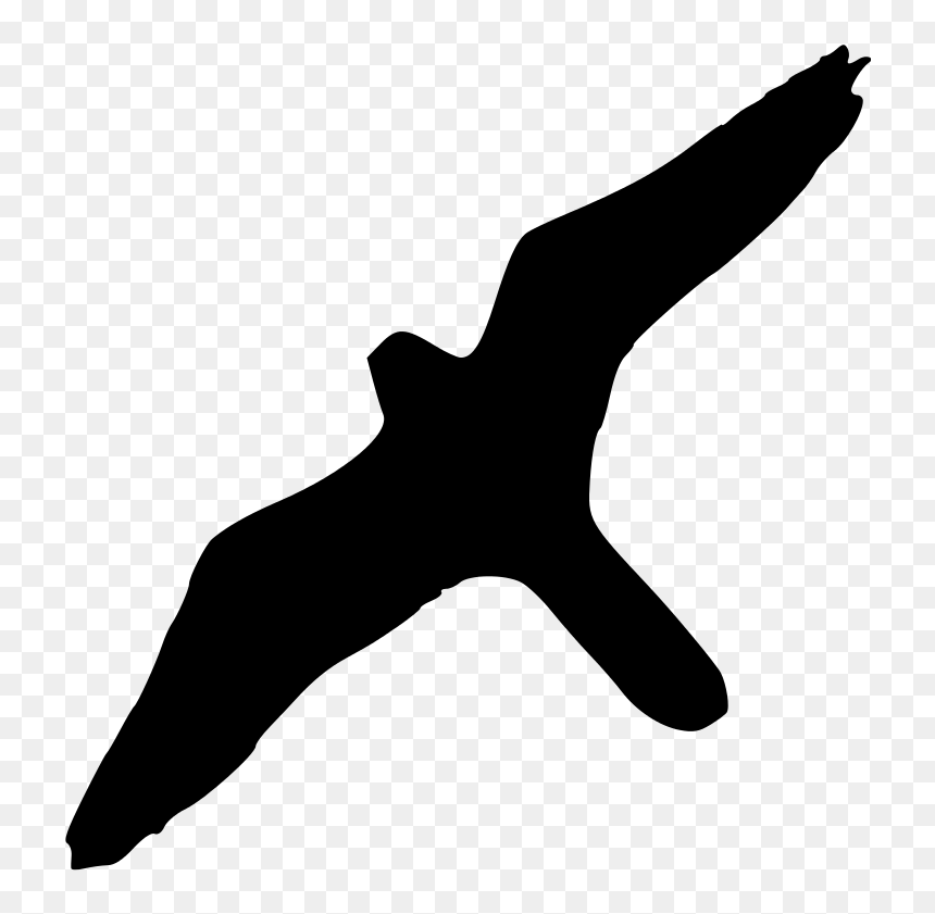 Peregrine Falcon Bird Of Prey Silhouette - Birds Of Prey Siluets, HD Png Download - prey logo png