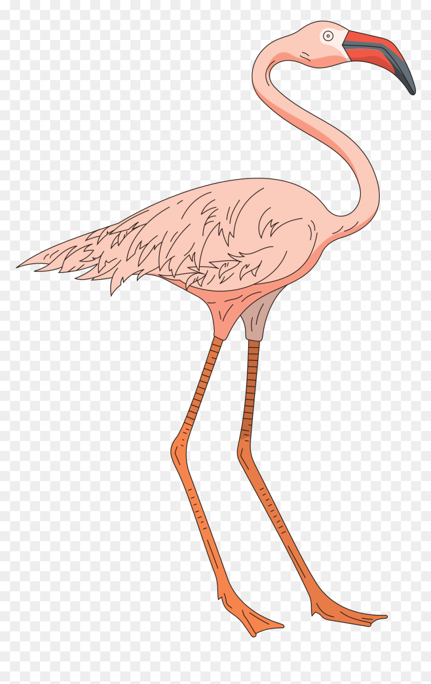 Flamingo Clip Art, HD Png Download - pink flamingo png