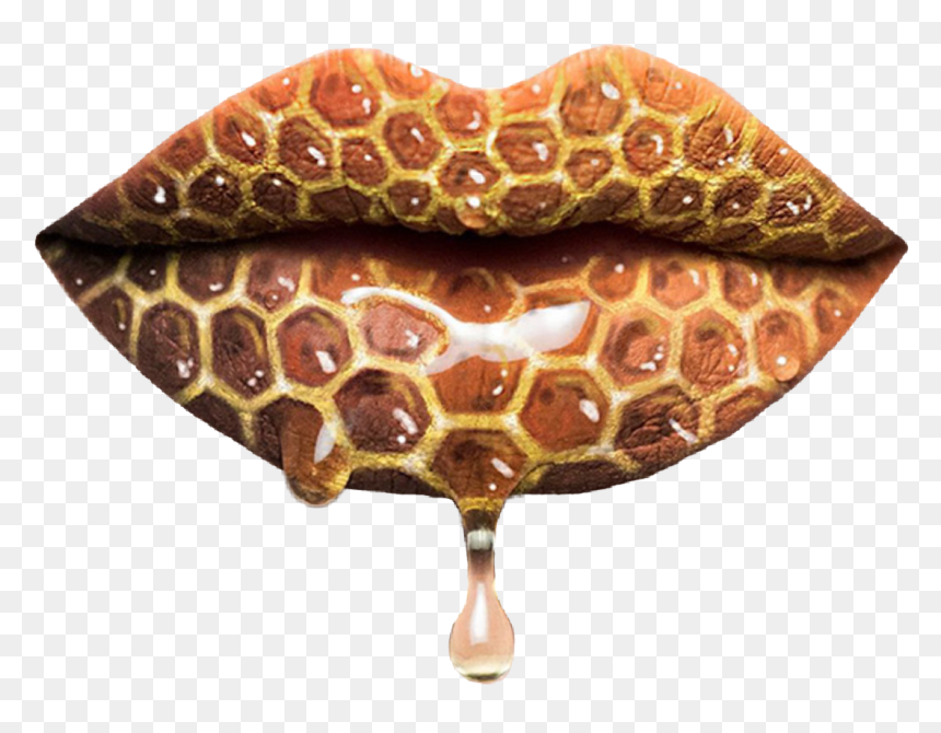 I Was Gonna Add This To The Honey Challenge But Fell - Girl Grey Beauty Lipstick, HD Png Download - honey drip png