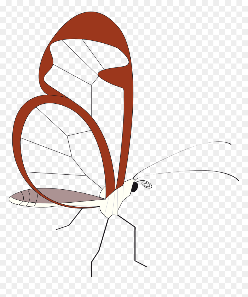 Clip Art, HD Png Download - butterfly net png