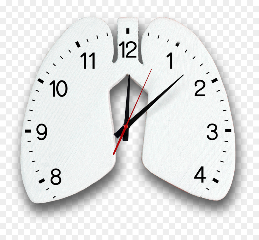 Every 30 Seconds Someone, Somewhere In The World Dies - Seiko Qxl013s, HD Png Download - lung cancer ribbon png