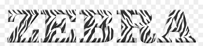 Monochrome, HD Png Download - baby zebra png