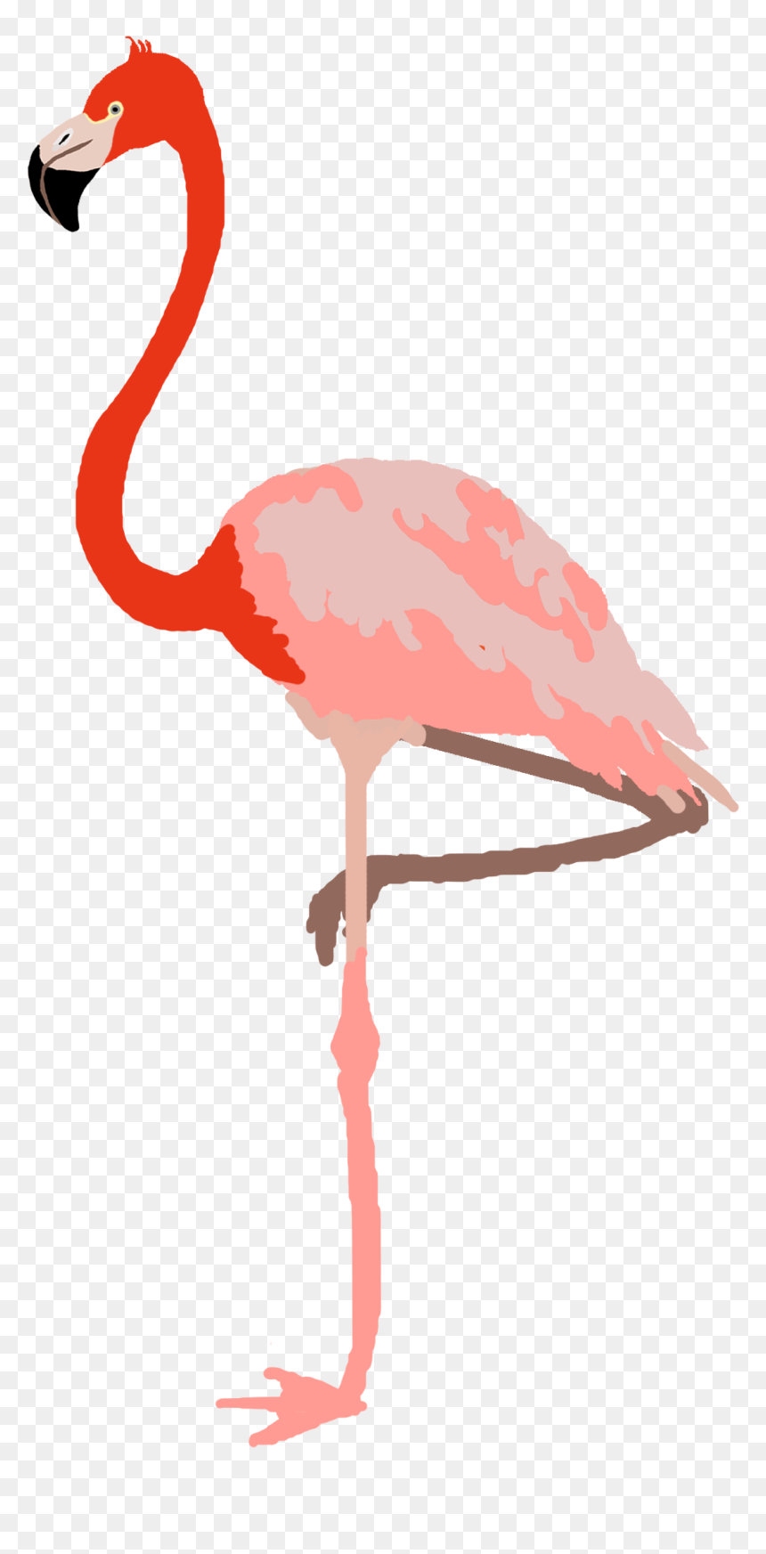 Greater Flamingo, HD Png Download - pink flamingo png