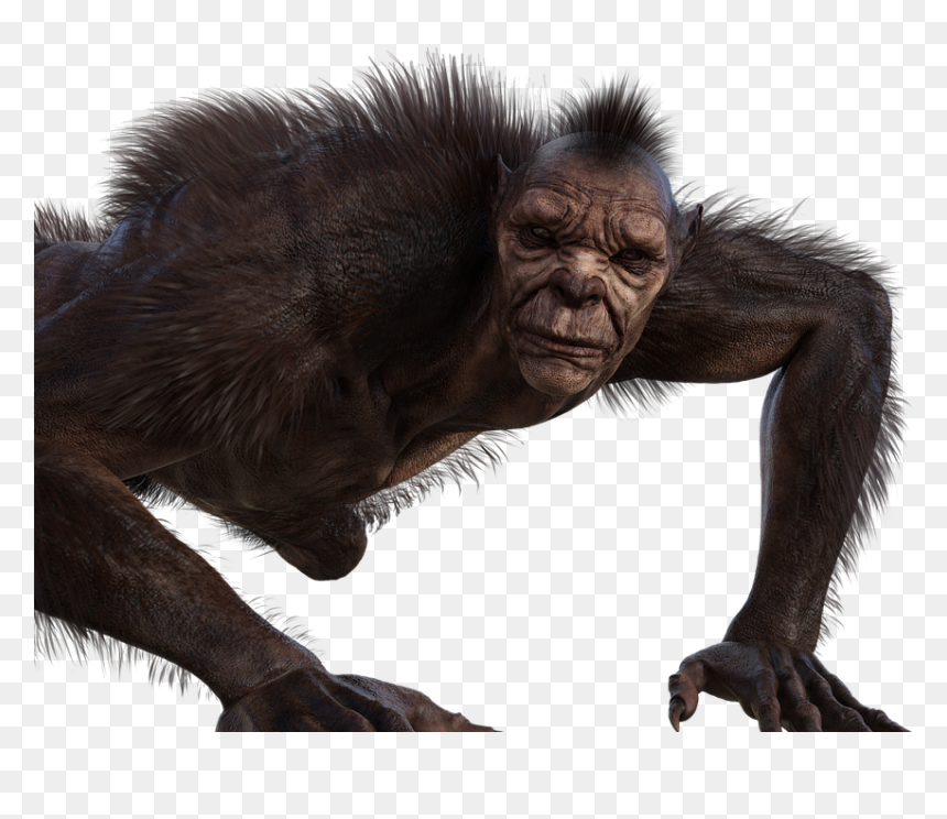 Werewolf Costume, HD Png Download - wolfman png