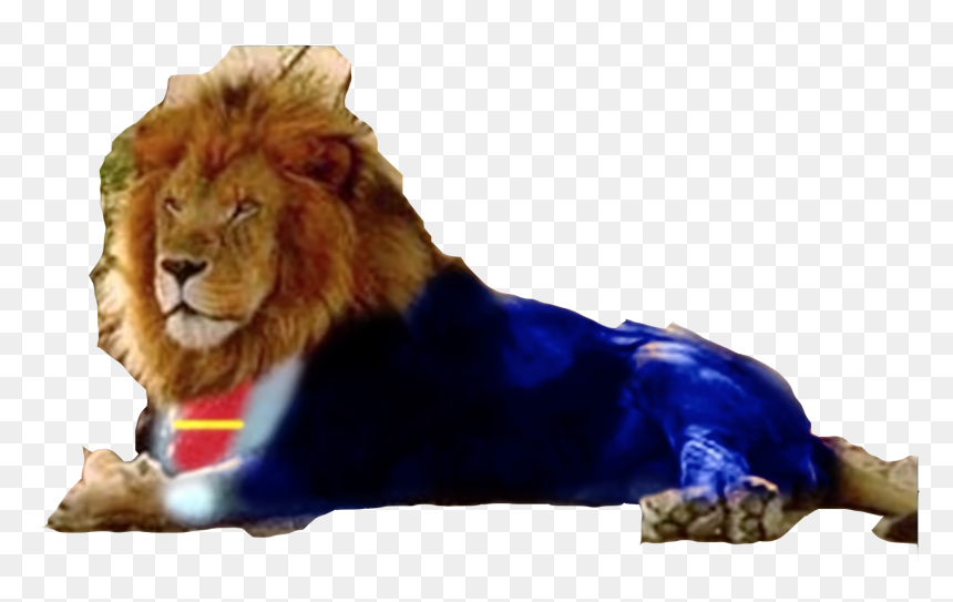 Transparent Idris Elba Png - Masai Lion, Png Download - idris elba png