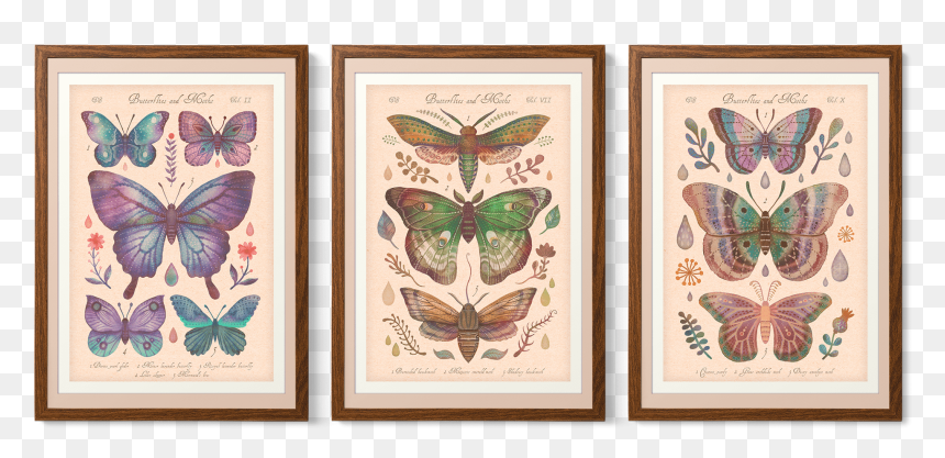 Aglais, HD Png Download - butterfly net png