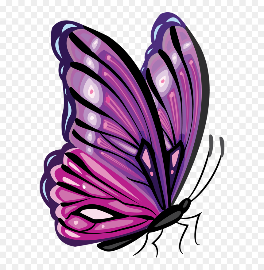 Pink And Purple Butterfly Clipart, HD Png Download - butterfly net png