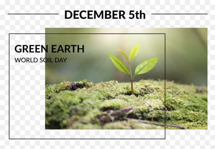 Plantation, HD Png Download - green earth png