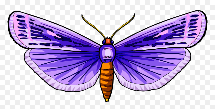 Butterfly 31 Clip Arts - Butterflies, HD Png Download - butterfly net png