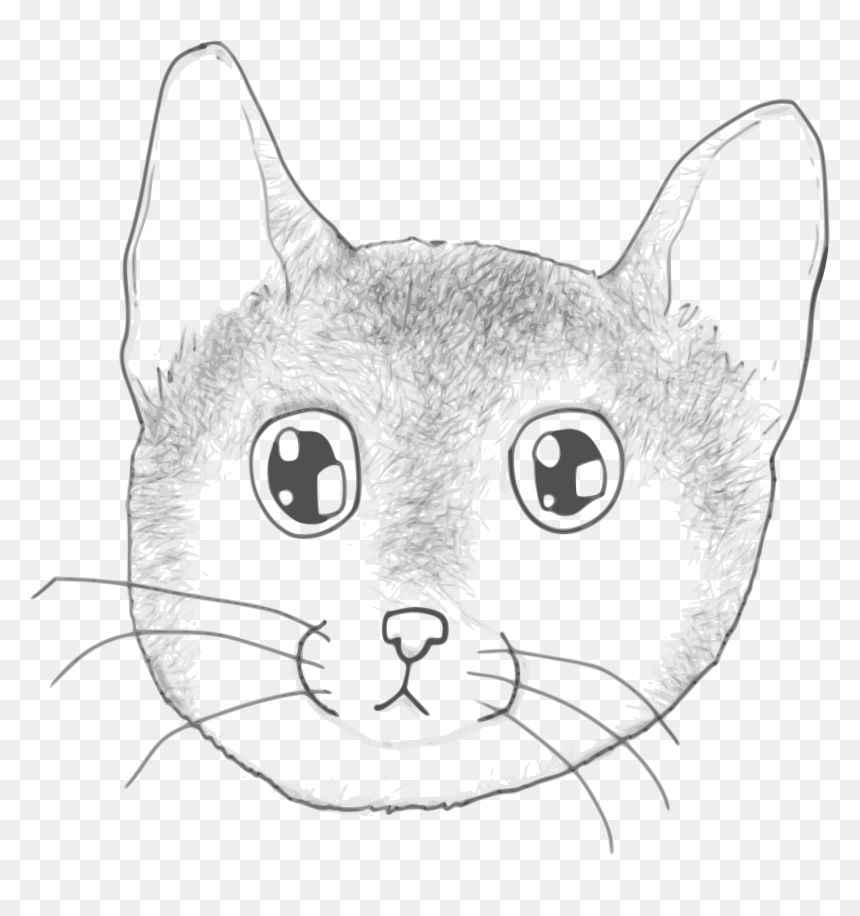 A Stripped Kitten Face Clip Arts - Cat, HD Png Download - kitten face png