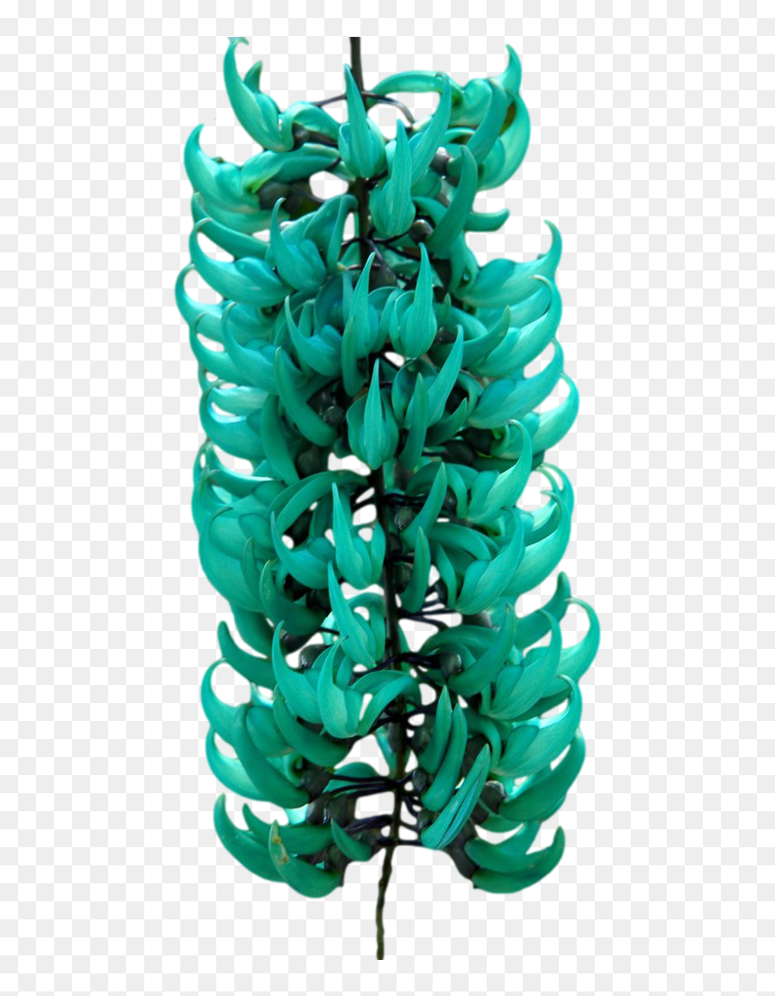 “ Strongylodon Macrobotrys, Commonly Known As Jade - Figurine, HD Png Download - flower vines png