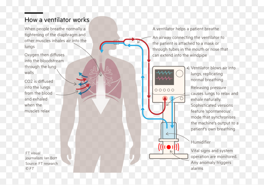 Ventilators Inside Body, HD Png Download - angry vein png