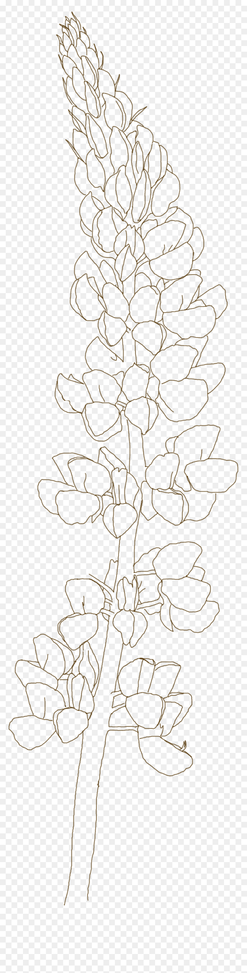 Flowers Clipart Bluebonnet - Floral Design, HD Png Download - bluebonnet png
