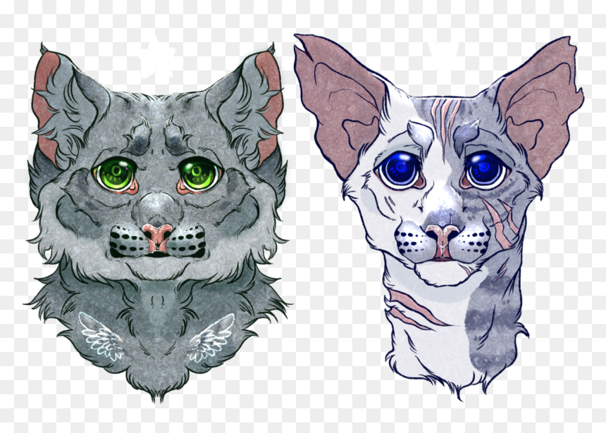 Whiskers Kitten Drawing Snout - Cat, HD Png Download - kitten face png