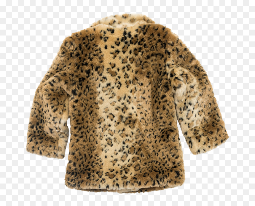 Leopard Fur Coat Png Image - Fur Coat Fur Png, Transparent Png - fur coat png