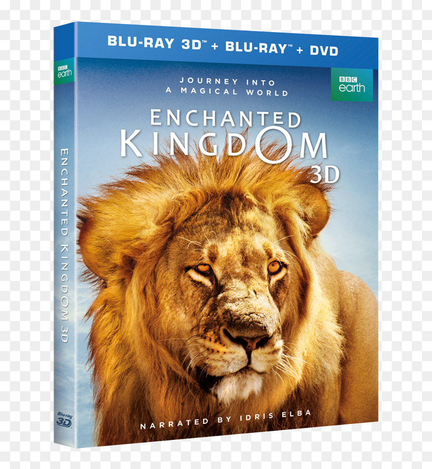Enchanted Kingdom 3d, HD Png Download - idris elba png