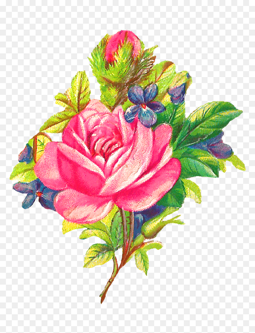 Rose Flower Image Digital Botanical Art - Clip Art, HD Png Download - rose clip art png