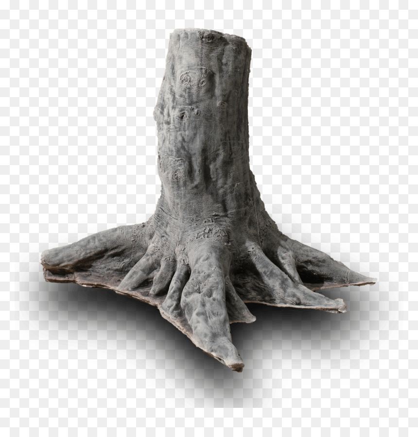 Back To Nature Slim Line Amazonas, HD Png Download - tree root png