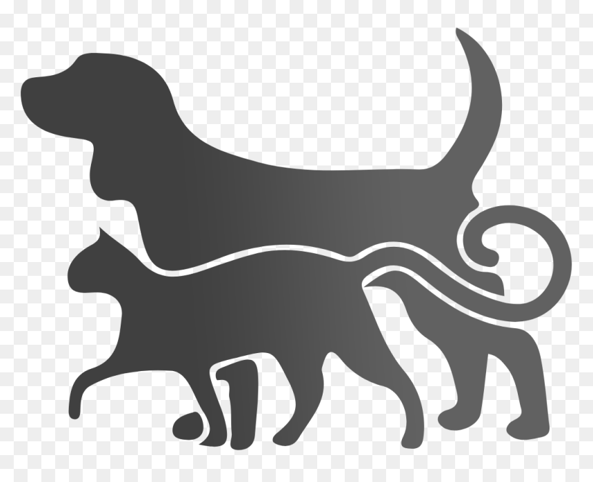 Dog Walking Cat Pet Dog Daycare - Misty's Paw Wash Front Street Lincoln Ri, HD Png Download - dog pooping png