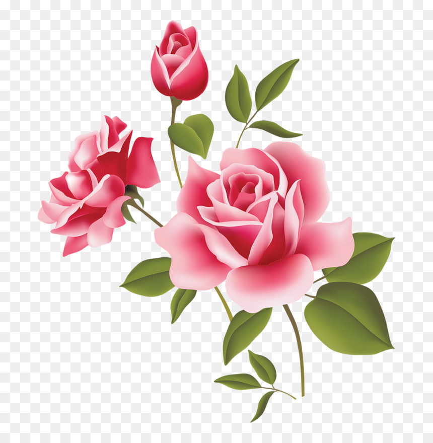 Pink Rose Clip Art 7takyynqc Png - Sexy Japan Lingerie Girl, Transparent Png - rose clip art png