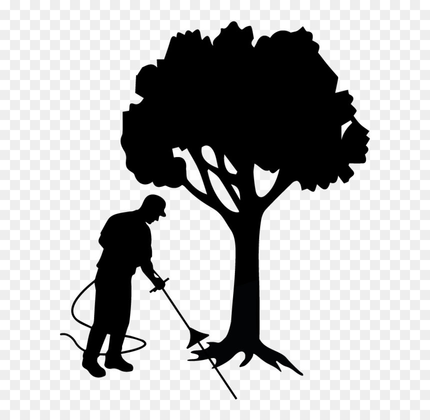 Root Aeriation, Decompaction &amp - Silhouette, HD Png Download - tree root png