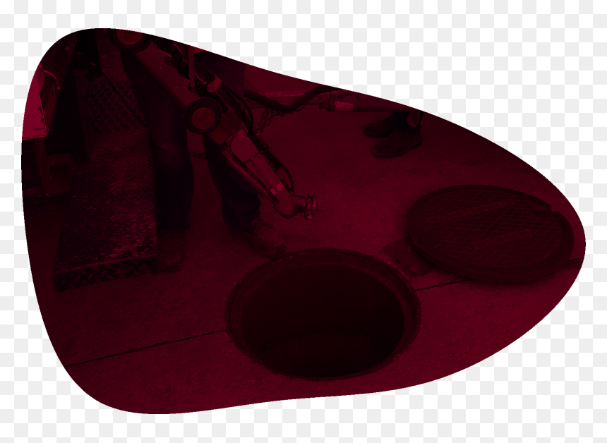 Tree Root Invasion Perry - Skateboard Deck, HD Png Download - tree root png