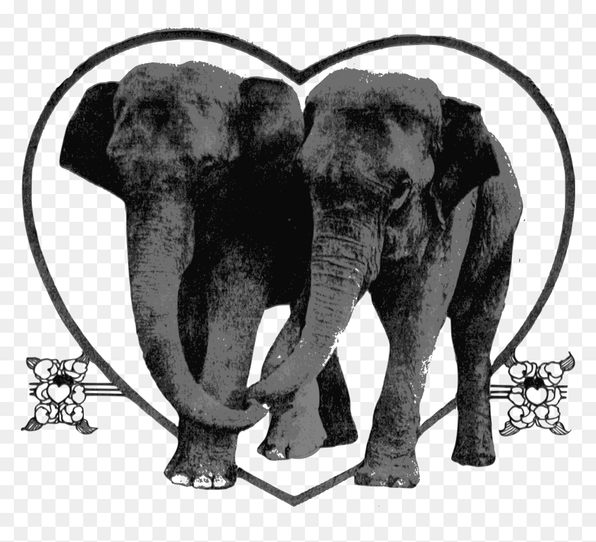 Lover Elephants Clip Arts - Tiere Herz, HD Png Download - elephants png