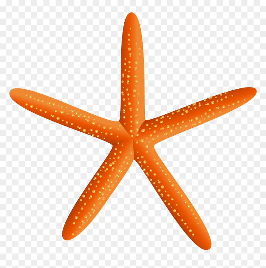 Starfish Silhouette Png , Png Download, Transparent Png - starfish silhouette png