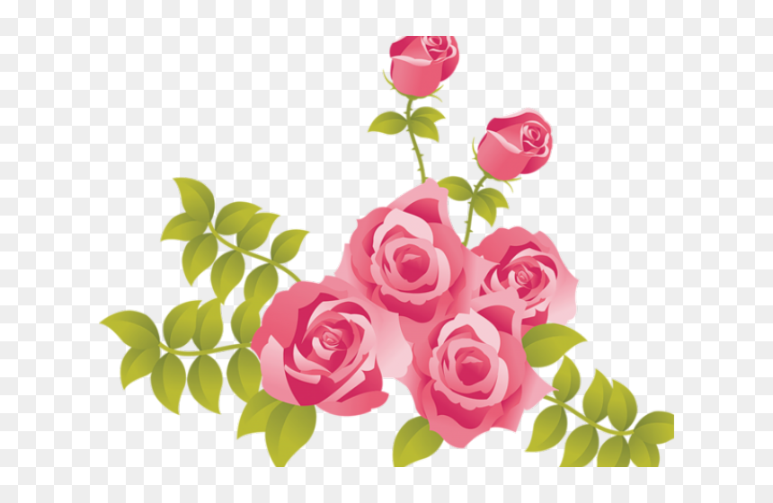 Transparent Pink Floral Clipart - Pink Roses Clipart Png, Png Download - roses clipart png