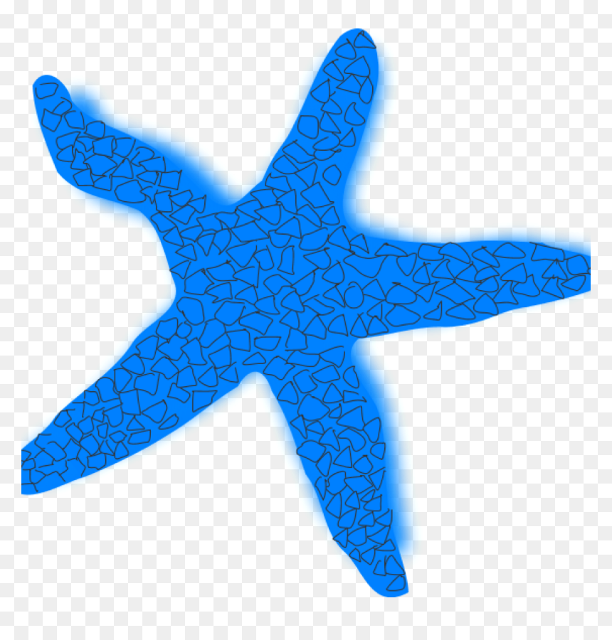 Starfish Clipart Silhouette - Blue Star Fish Clipart, HD Png Download - starfish silhouette png
