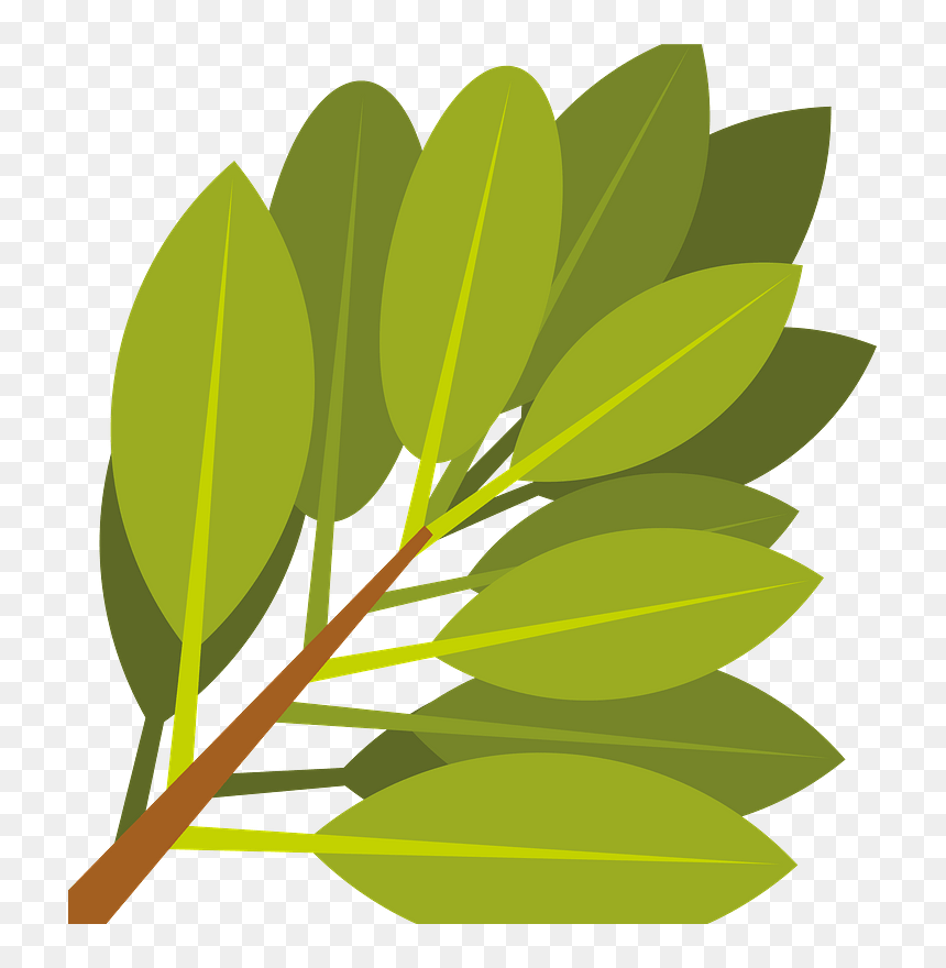 Branch With Green Leaves Clipart, HD Png Download - leaves clipart png