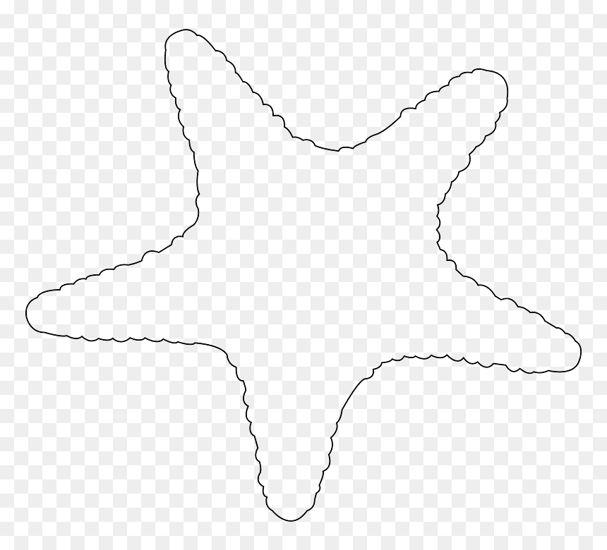 Drawing, HD Png Download - starfish silhouette png