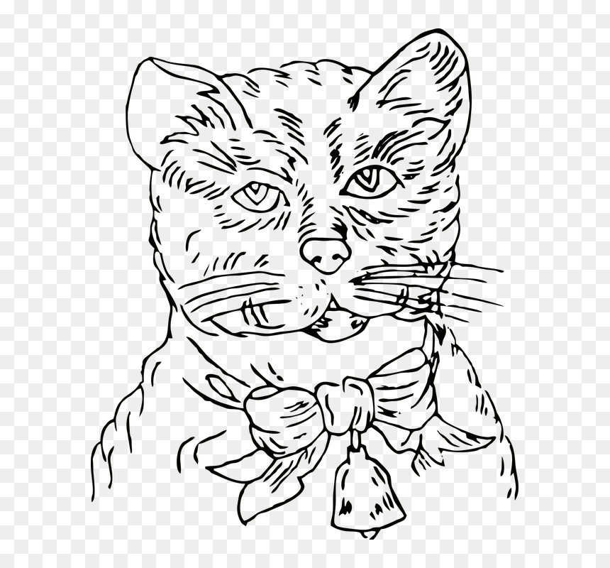 Cat, HD Png Download - kitten face png